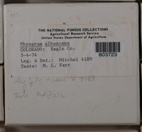 Image Associated With the Occurence